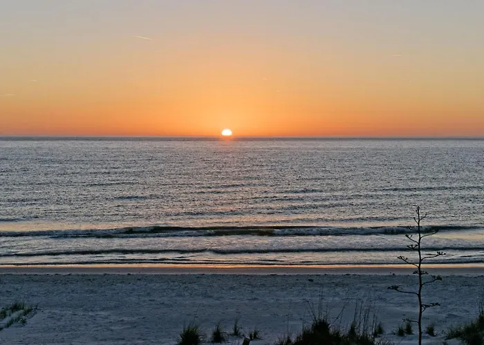 Clearwater Vista